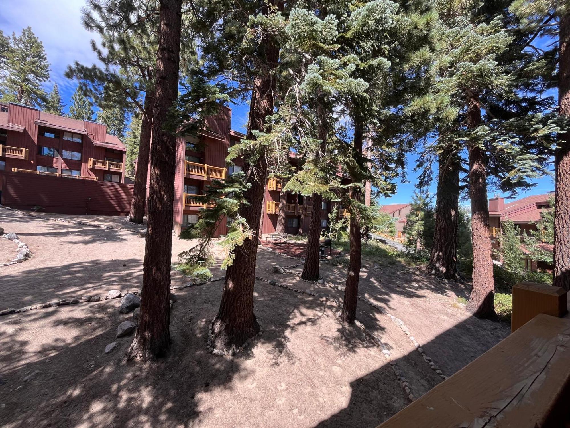 Tastefully Remodeled Condo At Mammoth Ski & Racquet Club, Hot Tub, Garage, 10 Min Walk To Ski Lifts Mammoth Lakes Kültér fotó